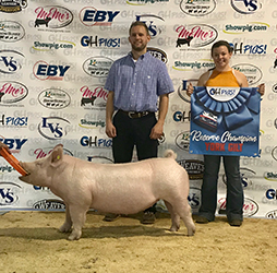 G & S Swine Winners