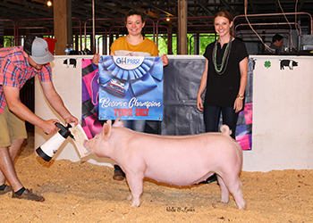 G & S Swine Winners