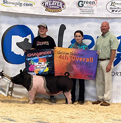G & S Winners