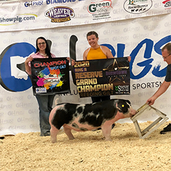 G & S Winners