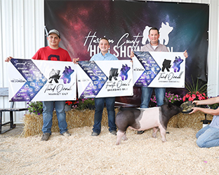 G & S Winners