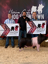 G & S Winners