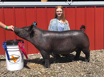 G & S Swine Winners