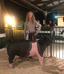 G & S Swine Winners