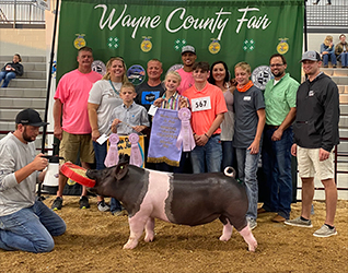 G & S Swine Winners