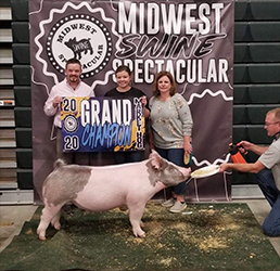 G & S Swine Winners