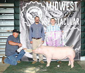 G & S Swine Winners