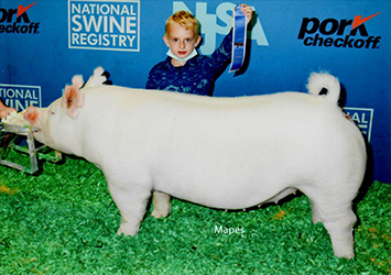 G & S WSwine Winners