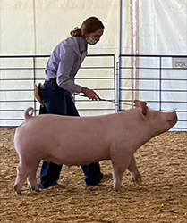 G & S Swine Winners