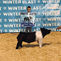 G & S Swine Winners