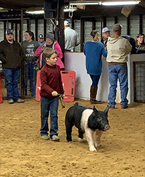 G & S Swine Winners