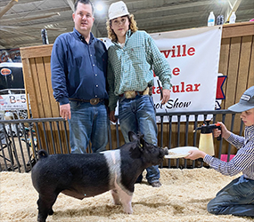 G & S Swine Winners