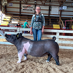 G & S Swine Winners