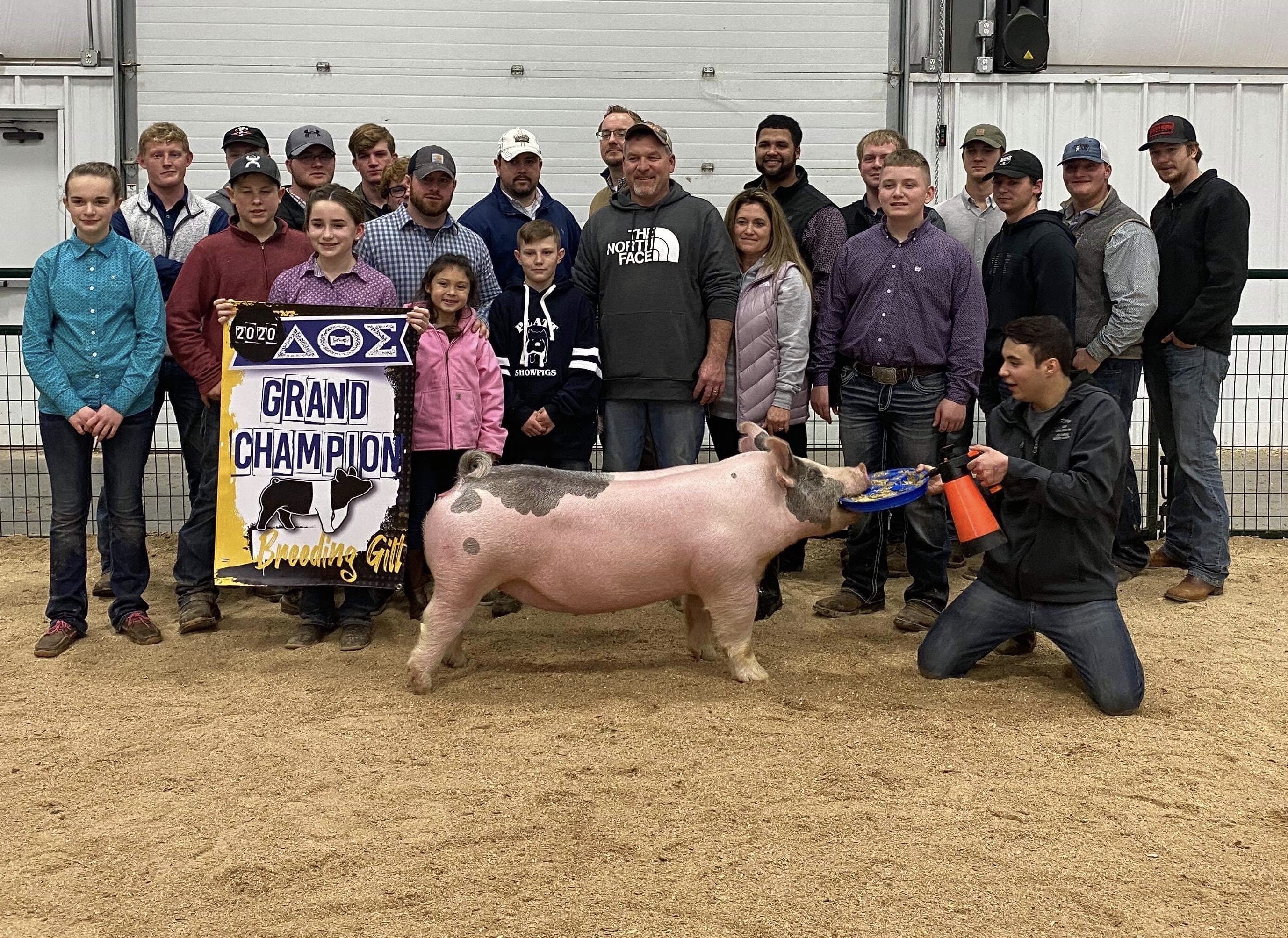 G & S Swine Winners