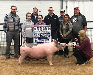 G & S Swine Winners