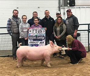 G & S Swine Winners