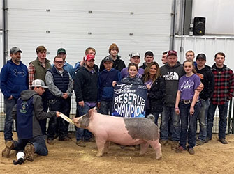 G & S Swine Winners