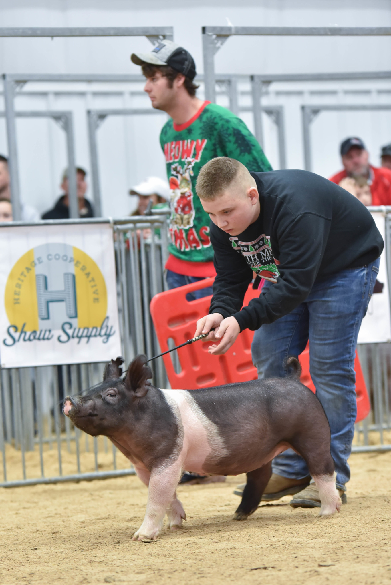 G & S Swine Winners