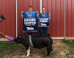 G & S Winners