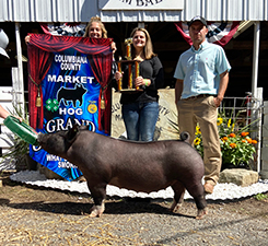G & S Winners