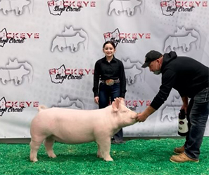 G & S Swine Winners