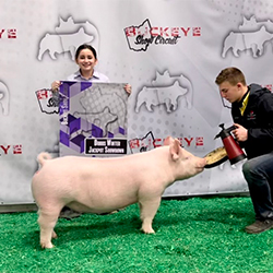 G & S Swine Winners